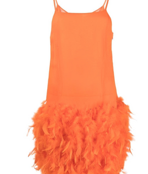 Giuseppe Di Morabito Feather Mini