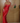 The Tulip - Red