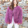 The Molly - Drobey